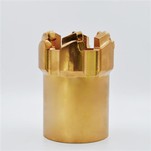 Rib Core PDC Drill Bit